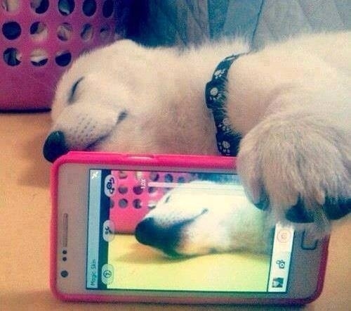 Lol bae caught me slippin