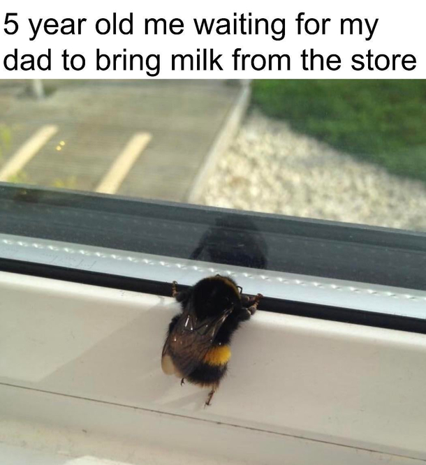 Lol bee buns