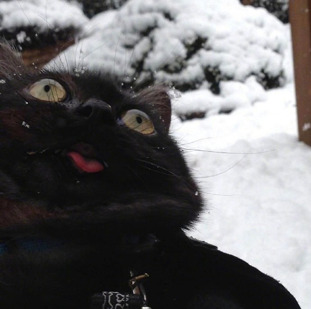 LOL Its snowing