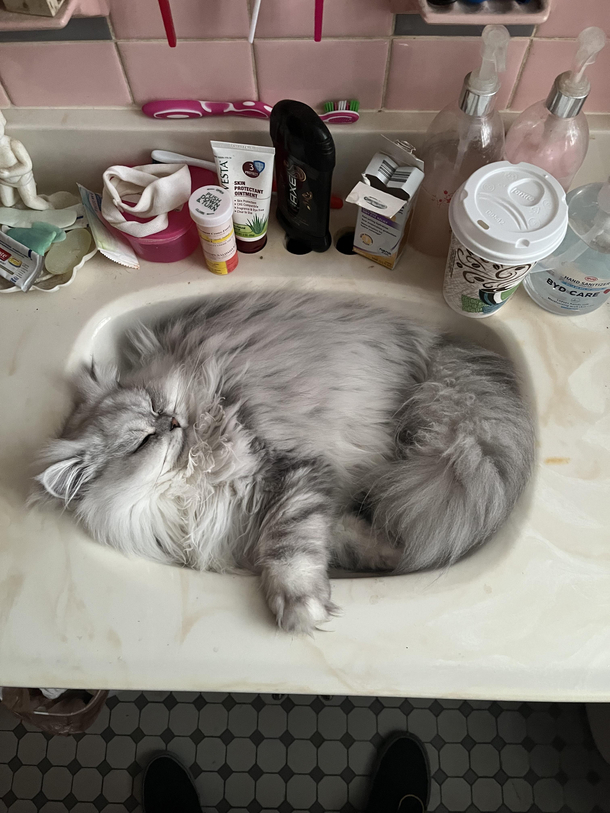 Lol perfect fit