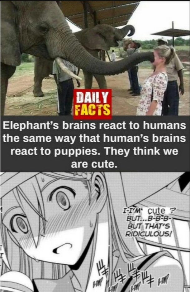 Lol what a fact