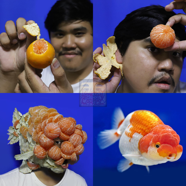Lonelyman and his oranges