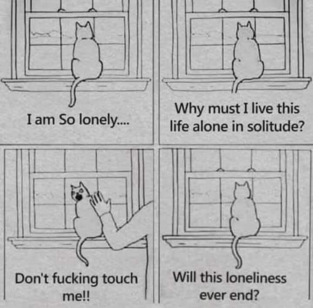 LonelyyyyyyIm so lonelyyyyyy