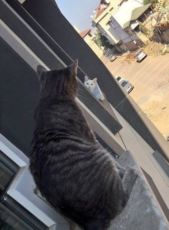 Long Distance Relationship