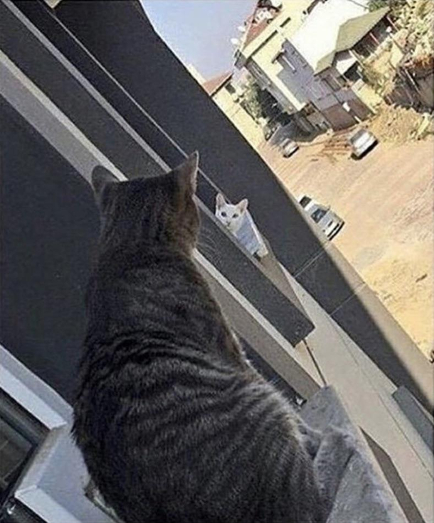 Long distance relationship