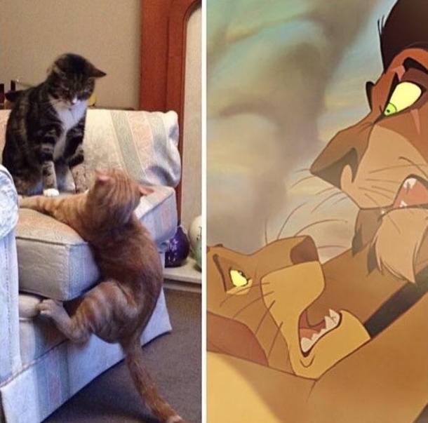 Long live the king