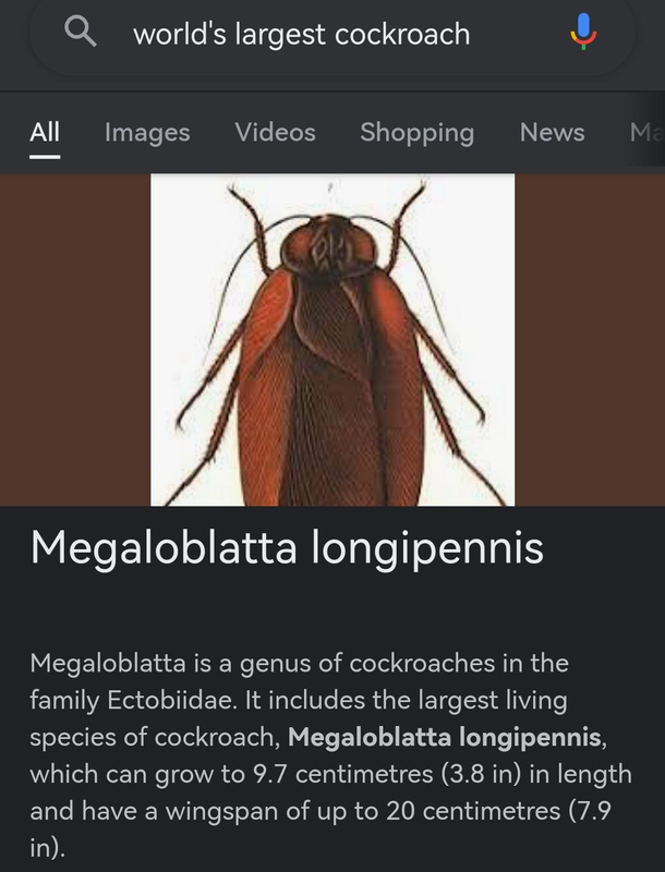 Long what