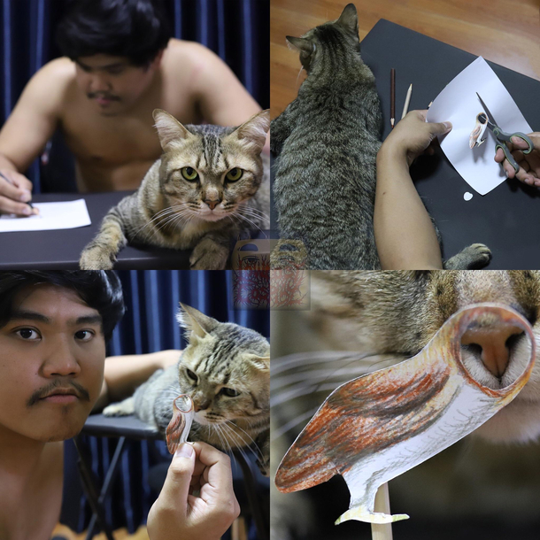 Lonlyman and his cat