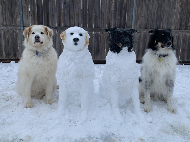 Look again There are only two dogs in this photo