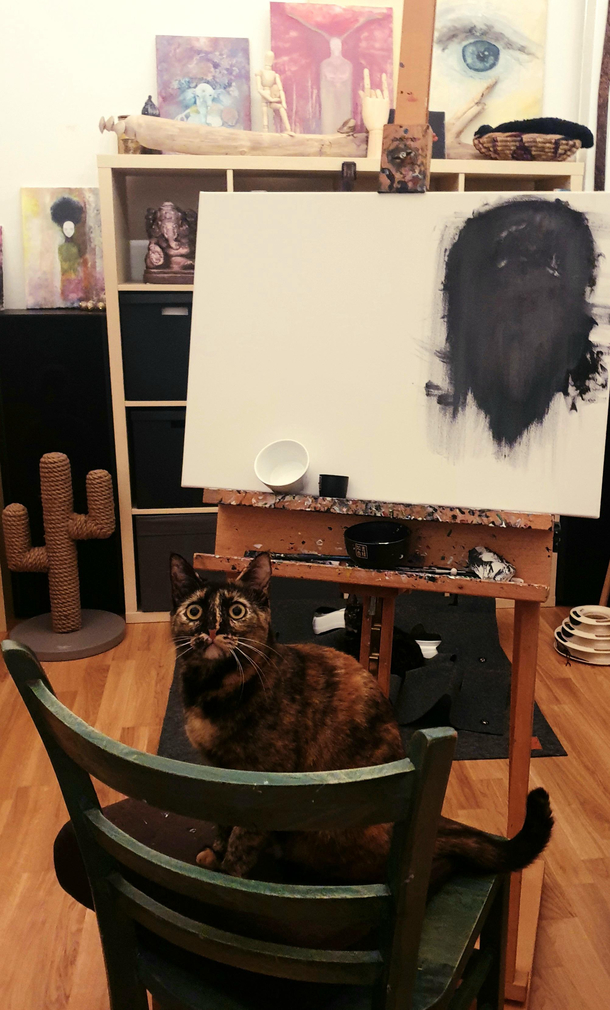 Look at me Im the artist meow
