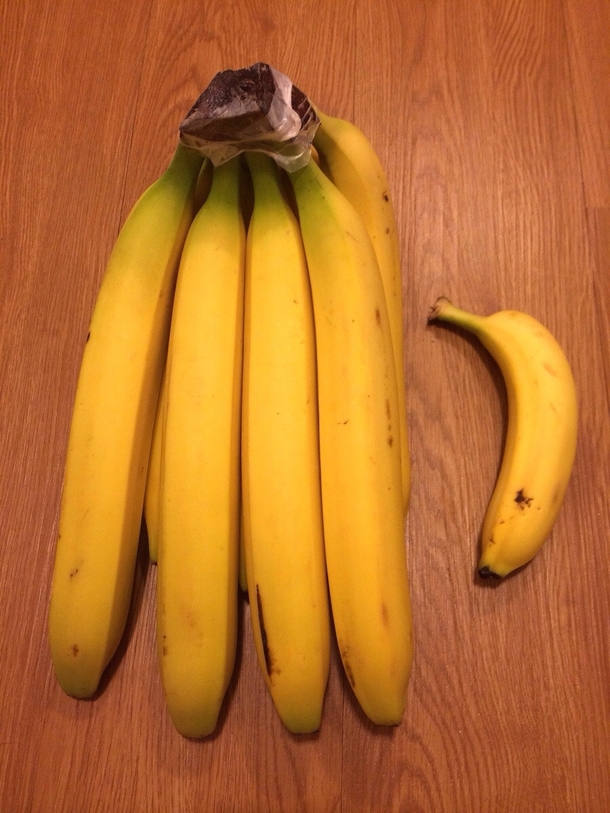 Look at the size of these bananas I bought today Banana for scale