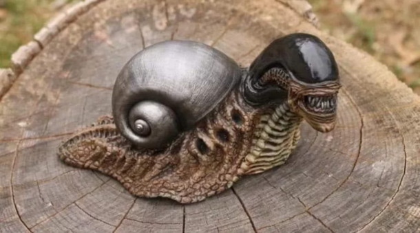 Look at this bad boi