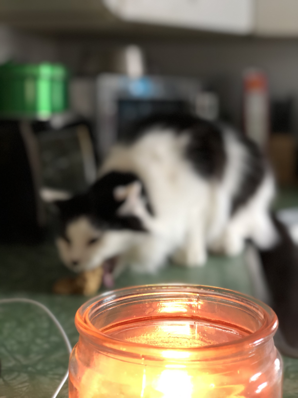 Look at this beautiful candle