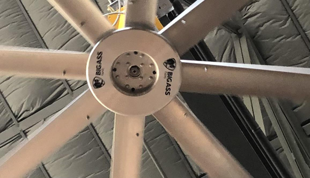 Look closely