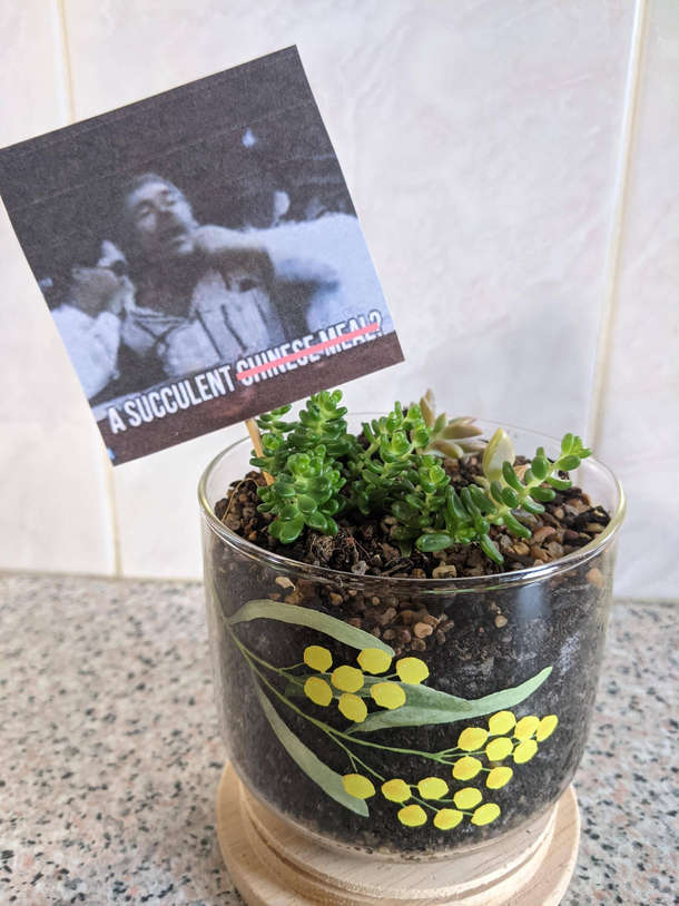 Look what my brother got gifted from work today