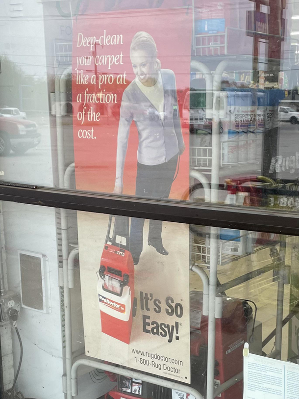 Look who I found in the wild