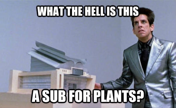 Looking at you rBotany