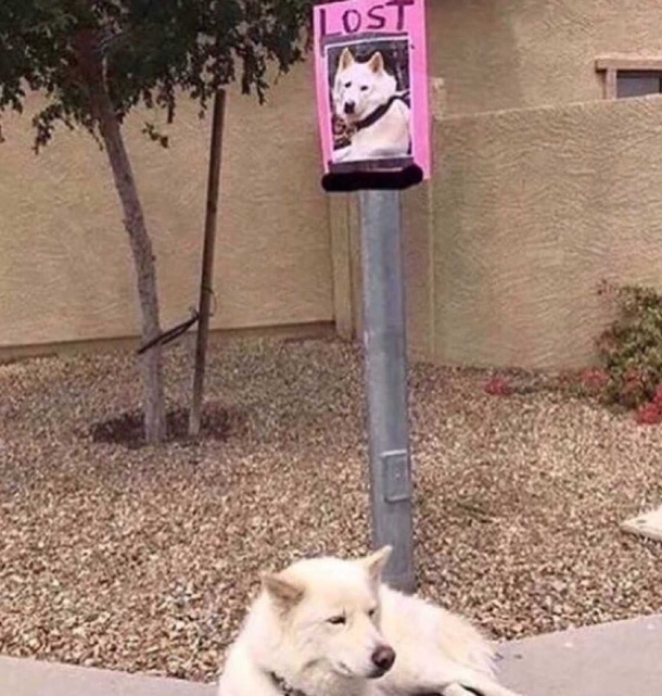 Looking for things is hard