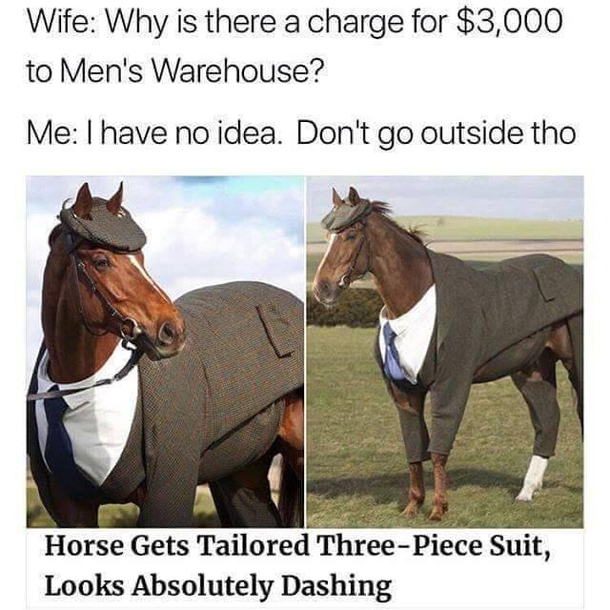 Looking quite fancy