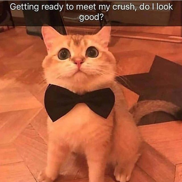 Looking snazzy