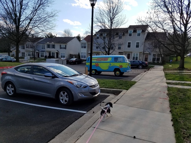 Looks like Ive got  meddling new neighbors