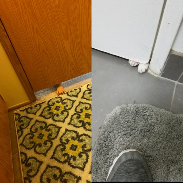 Looks like my sister and I have a similar dilemaLeft My niece Right My Cat