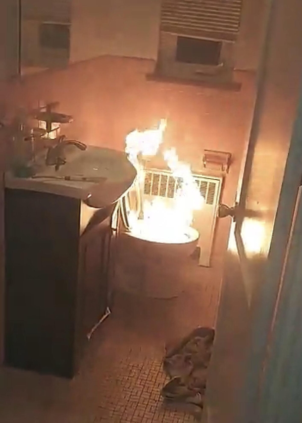 Looks like someone had Taco Bell