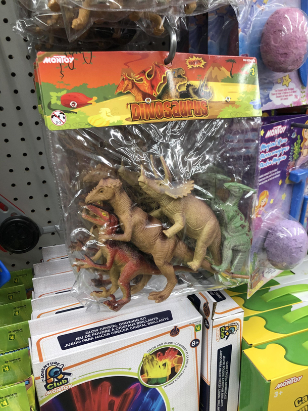 Looks like someone is having a good time