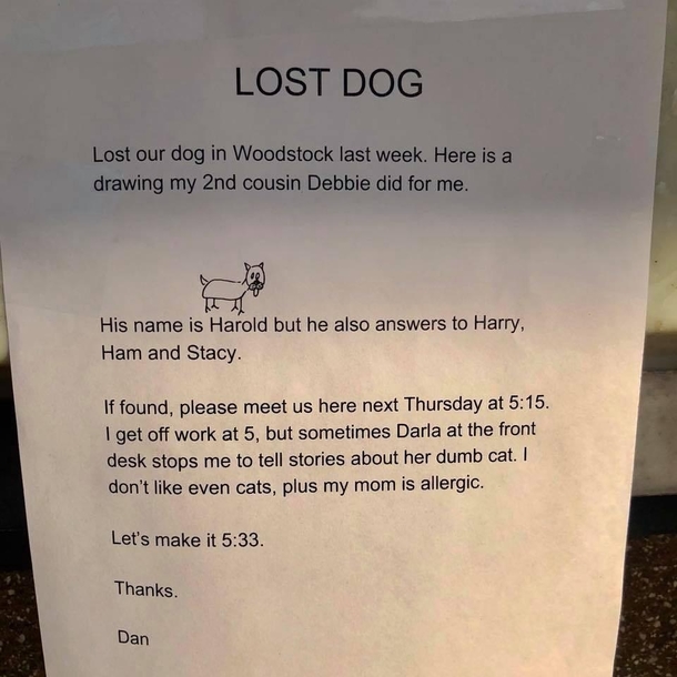 Lost dog