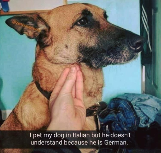 Lost in translation