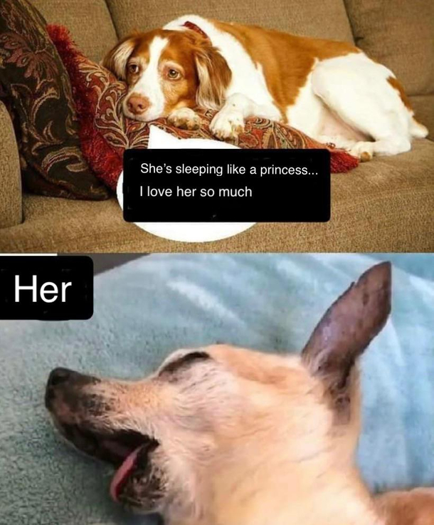 Love does that to you