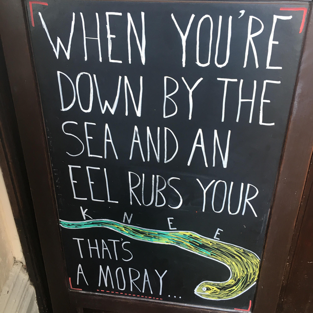 Love is all you sea