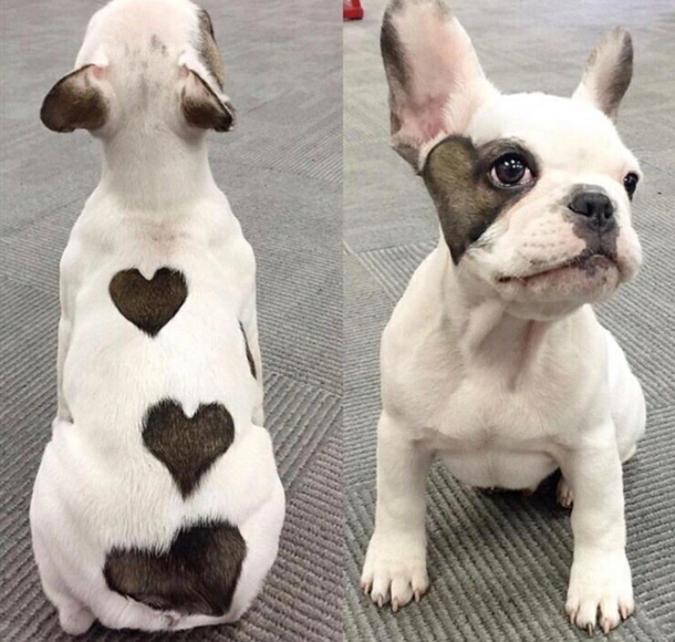 Love is in the hair