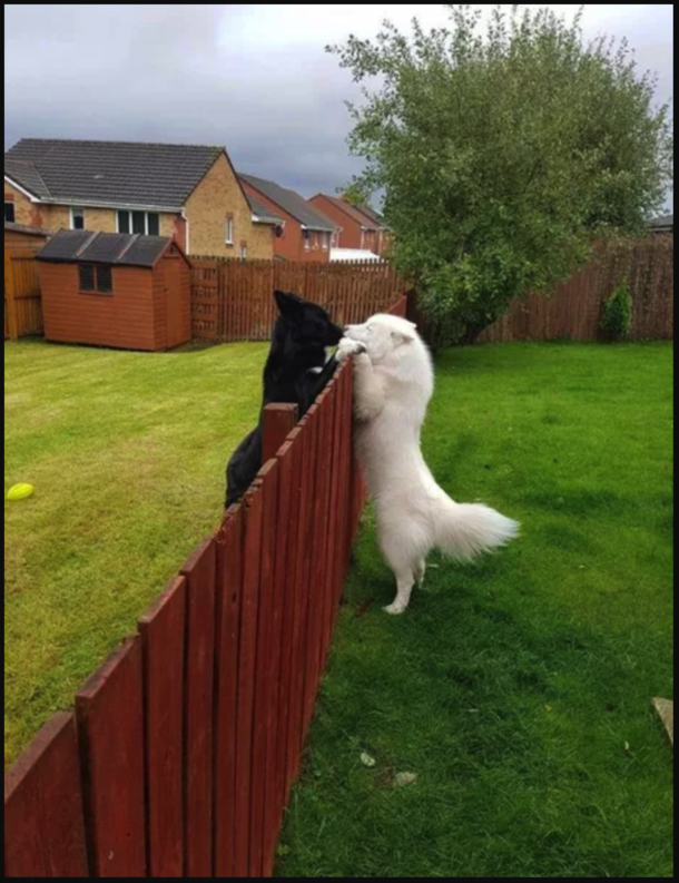 Love knows no boundaries