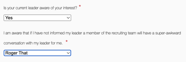 Love the internal job application site at my company