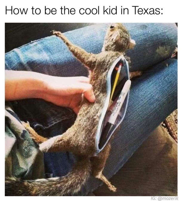 Love you Texas