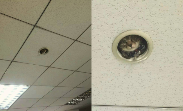 Low cost camera