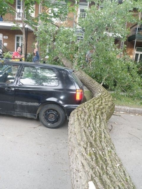 Luckiest car owner ever