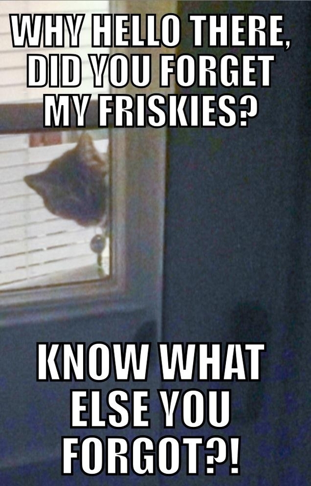 Luckily he doesnt understand locks