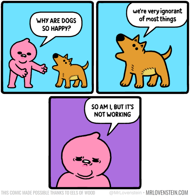 lucky dog