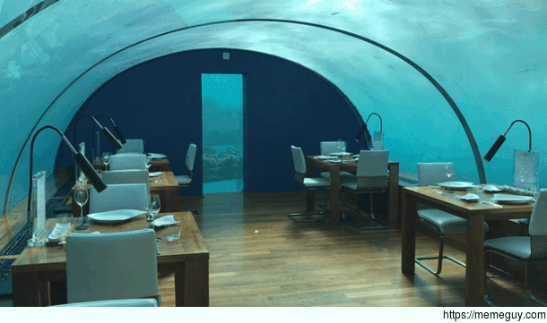 Luxurious Restaurant Under the Water