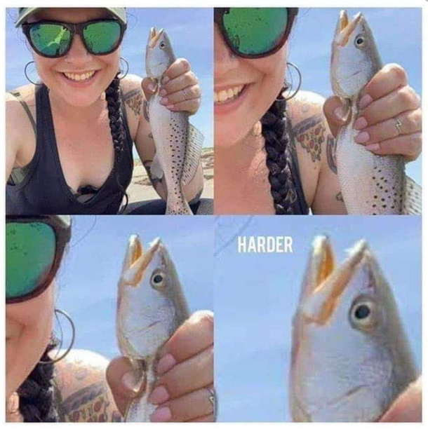 M fish