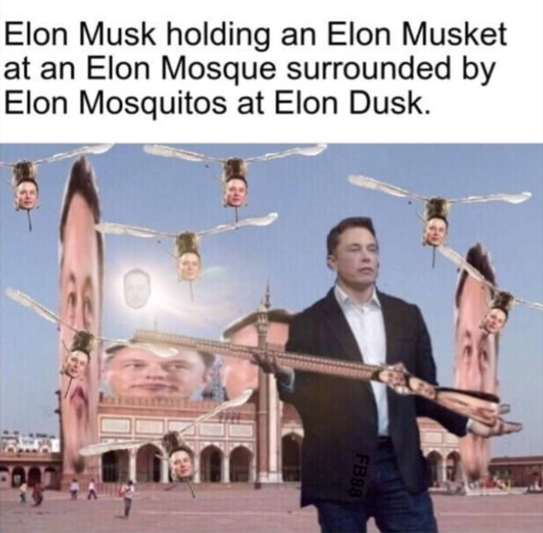 m u s k