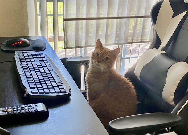 Maddie needs your wifi password to look for fucks to give