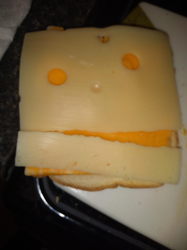Made a Canadian sandwich