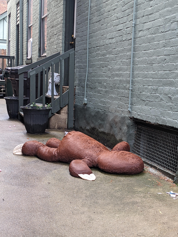 made me do a double take today rough night