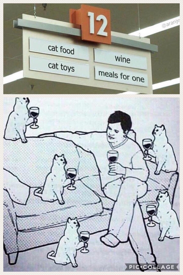 Made this to describe my future