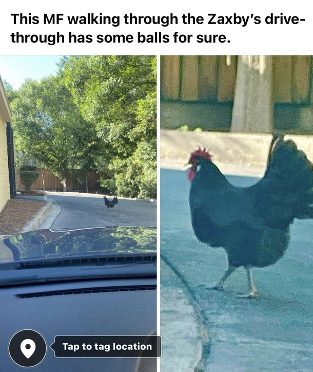 Madlad level 