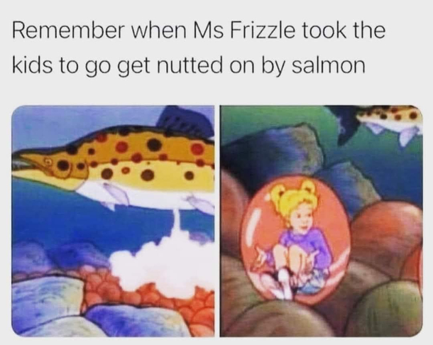 Magic Schoolbus failed NNN