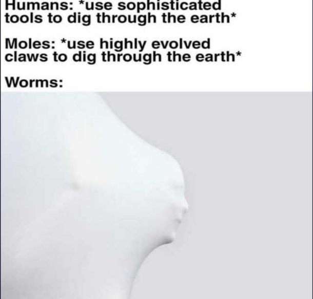 Magnificent cweatures